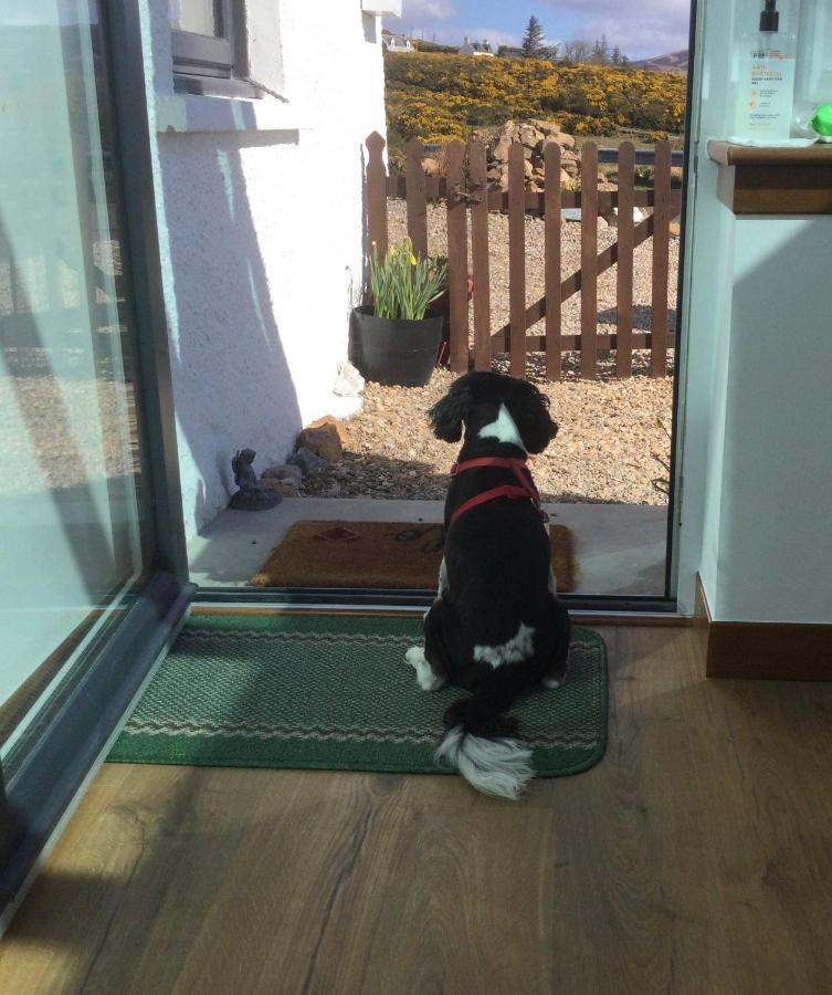 Piper'S Cave Bed And Breakfast Helmsdale Extérieur photo