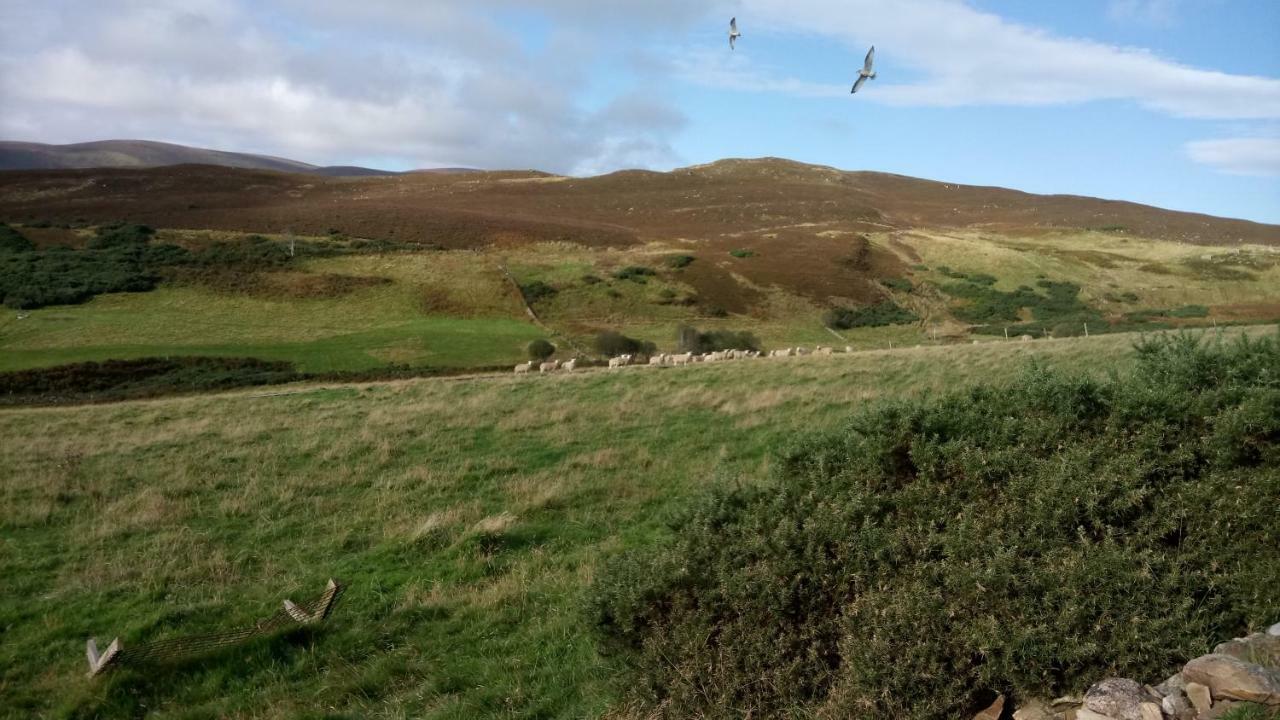 Piper'S Cave Bed And Breakfast Helmsdale Extérieur photo